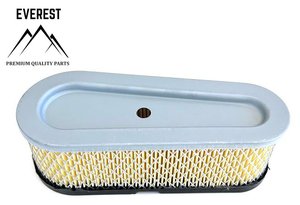 VZDUCHOVÝ FILTR BRIGGS&STRATTON 1 VÁLEC VÝKON 10KM-15KM SLZA NÍZKÝ EVEREST