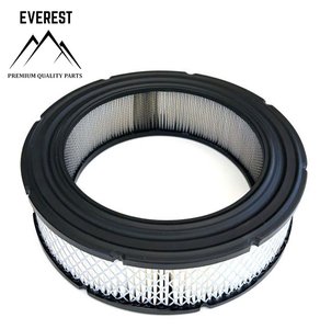 VZDUCHOVÝ FILTR BRIGGS&STRATTON VANGUARD 692519 EVEREST