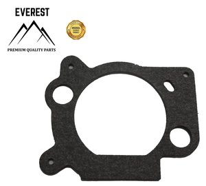 TĚSNĚNÍ VZDECHOVÉHO FILTRU BRIGGS&STRATTON OHV EVEREST