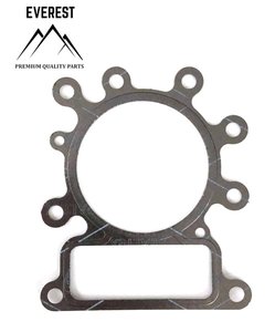 TĚSNĚNÍ HLAVY BRIGGS&STRATTON 10KM-14KM OHV AVS EVEREST