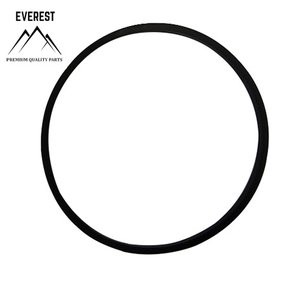 TĚSNĚNÍ BRIGGS&STRATTON 693981 EVEREST