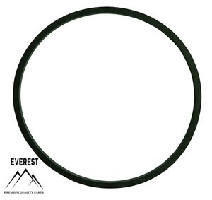 TĚSNĚNÍ BRIGGS&STRATTON 281165S EVEREST